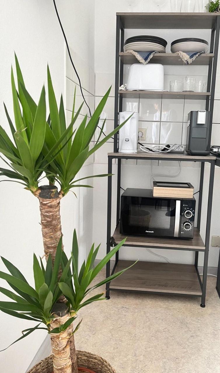 Lenastay I Modernes Apartment-Studio Καϊζερσλάουτερν Εξωτερικό φωτογραφία